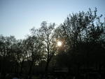 Sun setting in Green Park