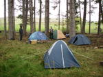 Camping in the Waipiata domain