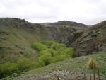 Looking down into the Taieri Gorge