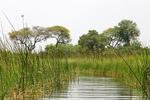 Okavango3