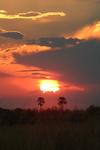 OkavangoSunset