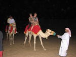 048 Camel riding - Dubai desert